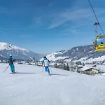 Traditionshotel Schwarzer Adler 4* Таннхайм