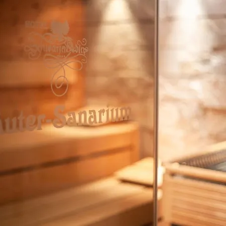Traditionshotel Schwarzer Adler Hotel