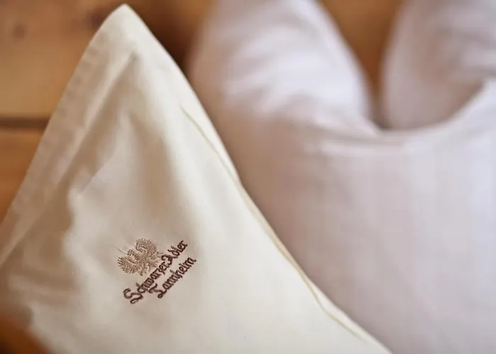 Traditionshotel Schwarzer Adler Hotel 4*