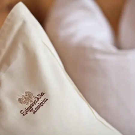 Traditionshotel Schwarzer Adler Hotell 4*